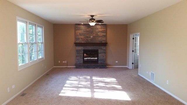 15243 Hamlin St, Plainfield, IL 60544 photo 4