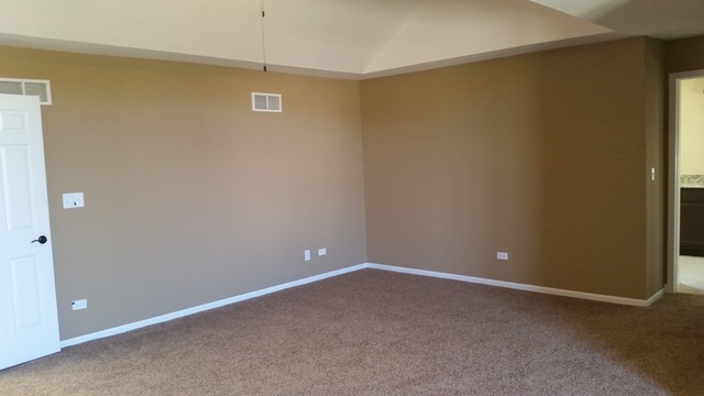 15243 Hamlin St, Plainfield, IL 60544 photo 14