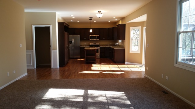15243 Hamlin St, Plainfield, IL 60544 photo 3