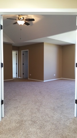 15243 Hamlin St, Plainfield, IL 60544 photo 12