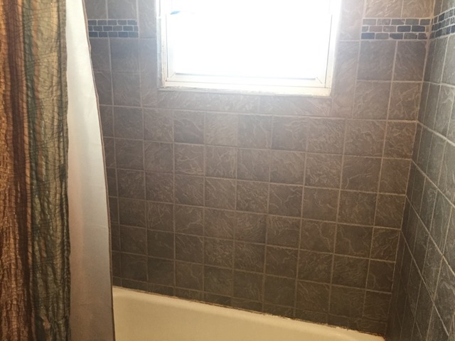 3623 152nd Pl, Midlothian, IL 60445 photo 8