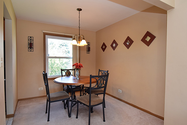 1175 Harwich Dr, Carol Stream, IL 60188 photo 6