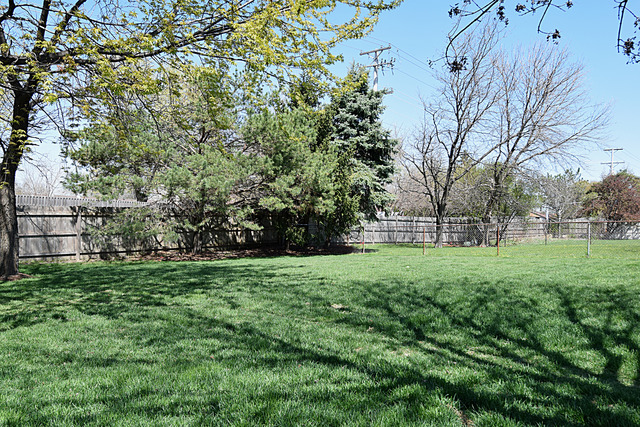 1175 Harwich Dr, Carol Stream, IL 60188 photo 17