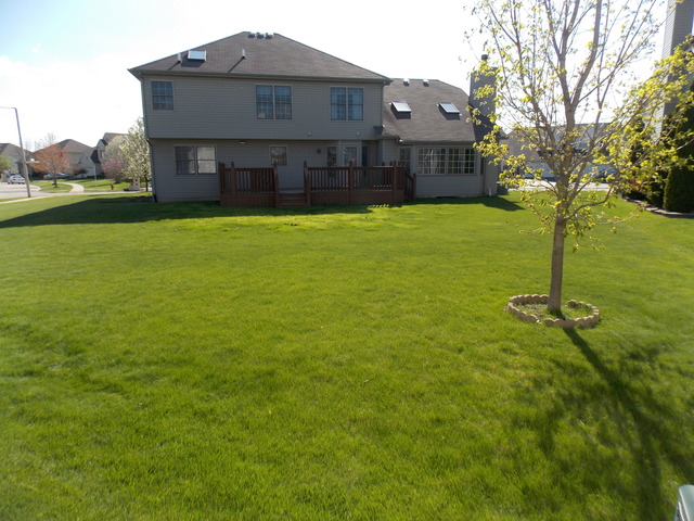 13508 Golden Eagle Cir, Plainfield, IL 60544 photo 3