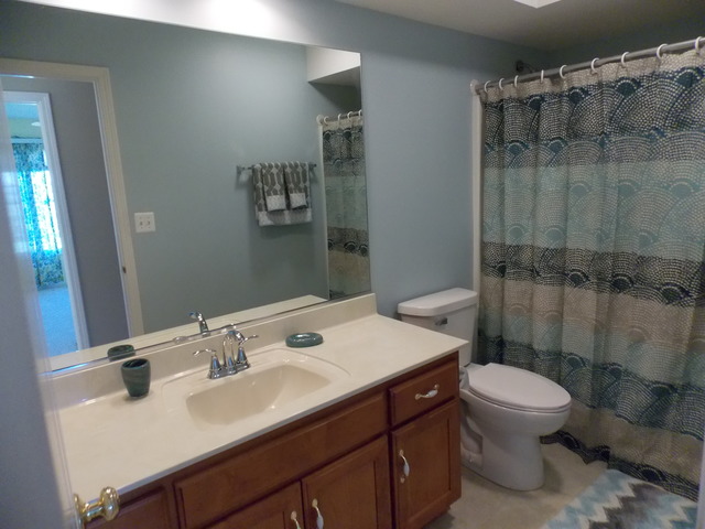 13508 Golden Eagle Cir, Plainfield, IL 60544 photo 13