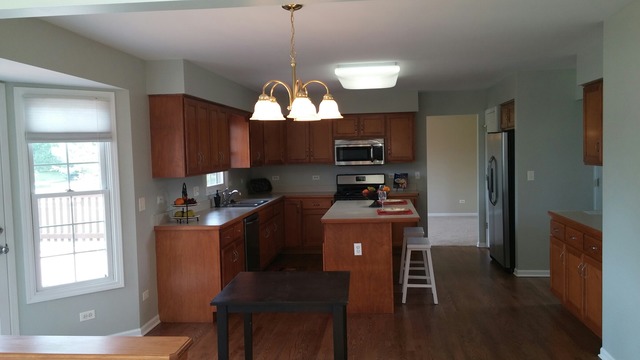 13508 Golden Eagle Cir, Plainfield, IL 60544 photo 9