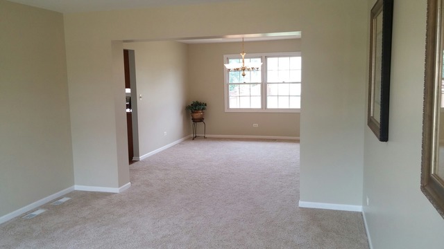 13508 Golden Eagle Cir, Plainfield, IL 60544 photo 11