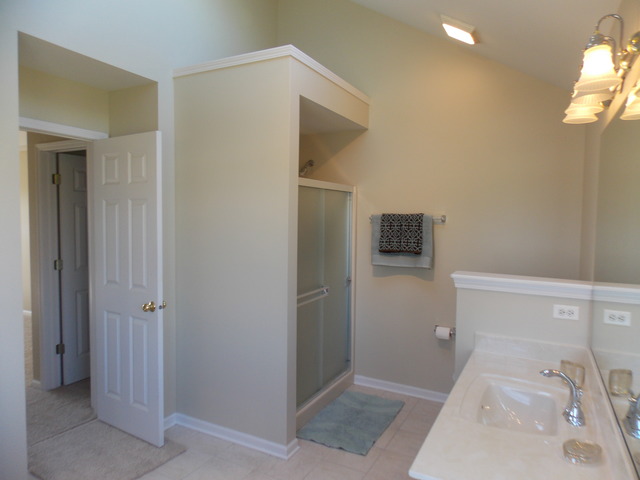 13508 Golden Eagle Cir, Plainfield, IL 60544 photo 12