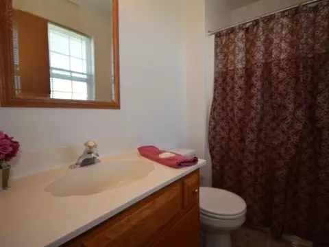 4608 Peacock Ln, Plainfield, IL 60586 photo 17