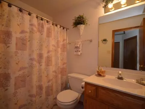 4608 Peacock Ln, Plainfield, IL 60586 photo 20