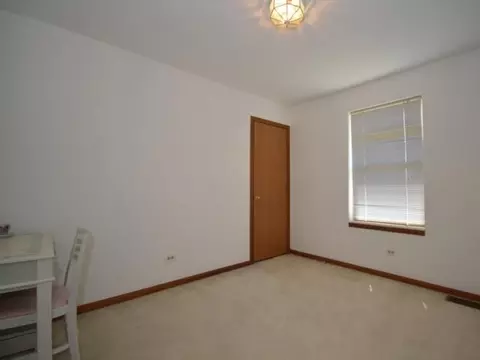 4608 Peacock Ln, Plainfield, IL 60586 photo 19