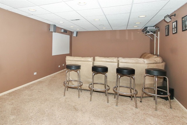 325 E Ardmore Ave, Roselle, IL 60172 photo 19