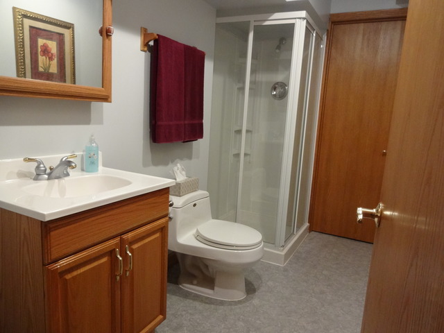 426 Deanna Dr, Bartlett, IL 60103 photo 20