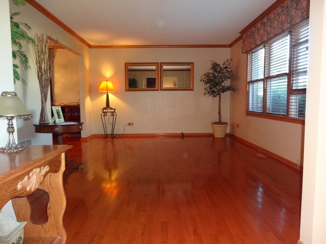 426 Deanna Dr, Bartlett, IL 60103 photo 4