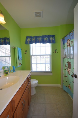 12521 Kildare Dr, Plainfield, IL 60585 photo 17