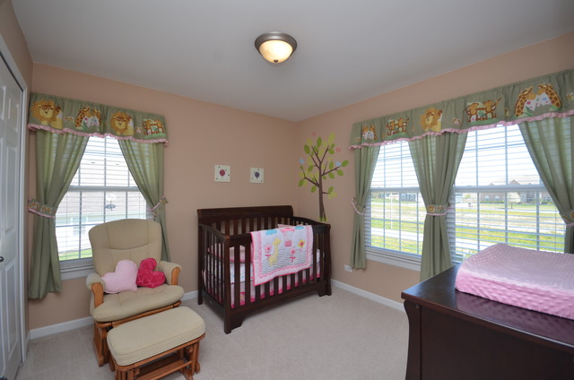12521 Kildare Dr, Plainfield, IL 60585 photo 14