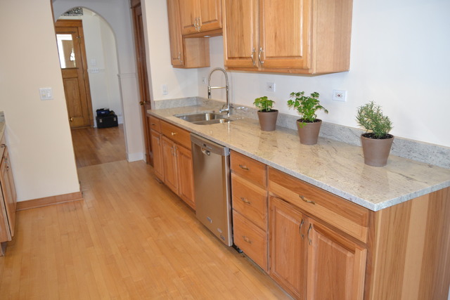 613 Beloit Ave, Forest Park, IL 60130 photo 16