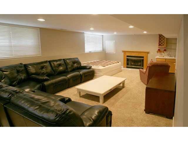 437 Snow Drift Cir, Bartlett, IL 60103 photo 13