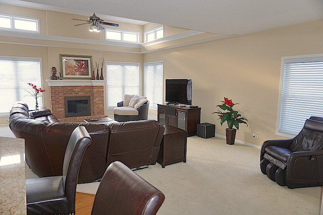 12236 Winterberry Ln, Plainfield, IL 60585 photo 6