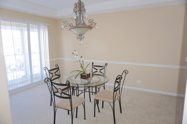 12236 Winterberry Ln, Plainfield, IL 60585 photo 4