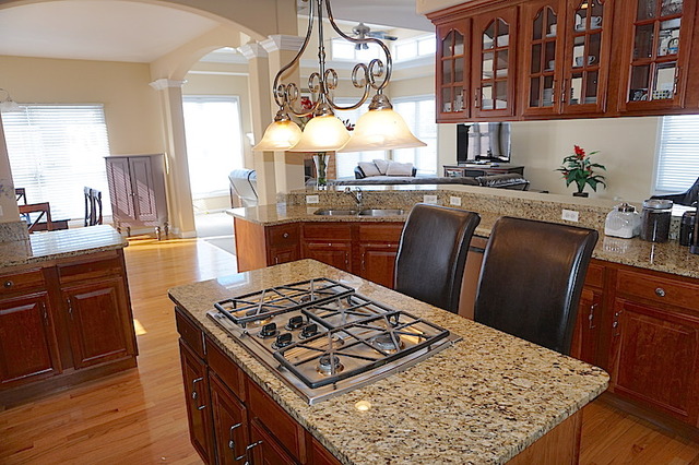 12236 Winterberry Ln, Plainfield, IL 60585 photo 8