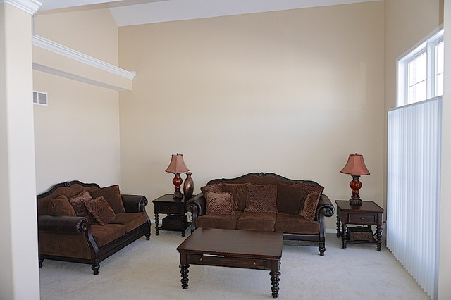 12236 Winterberry Ln, Plainfield, IL 60585 photo 3