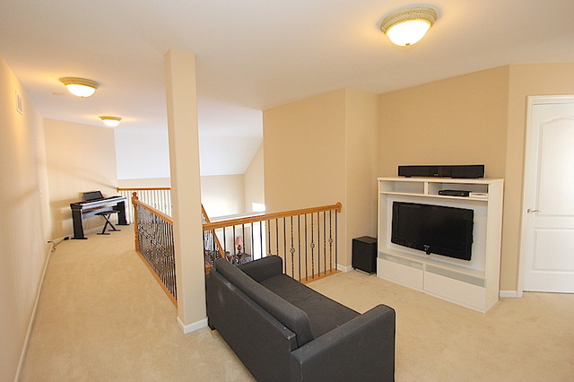 12236 Winterberry Ln, Plainfield, IL 60585 photo 10