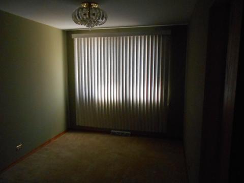 1429 N Rohde Ave, Berkeley, IL 60163 photo 3