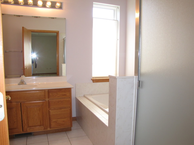 21313 W Juniper Ln, Plainfield, IL 60544 photo 16