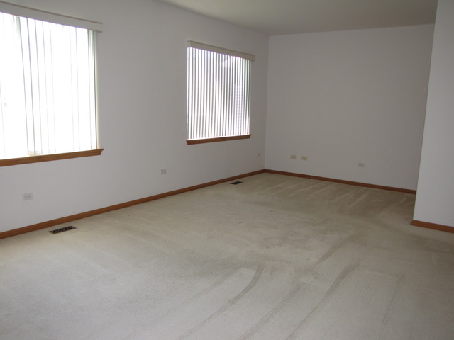 21313 W Juniper Ln, Plainfield, IL 60544 photo 14