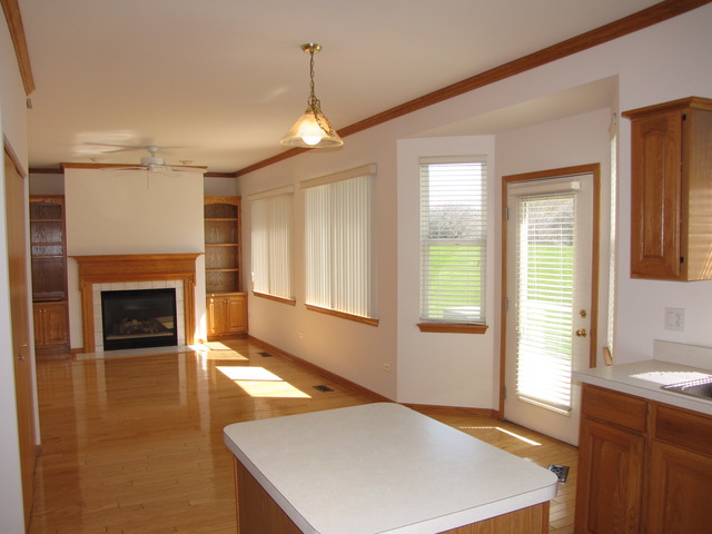 21313 W Juniper Ln, Plainfield, IL 60544 photo 6