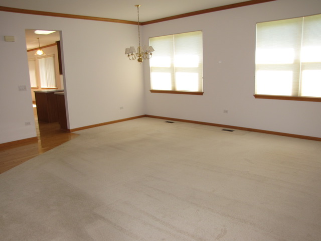 21313 W Juniper Ln, Plainfield, IL 60544 photo 10