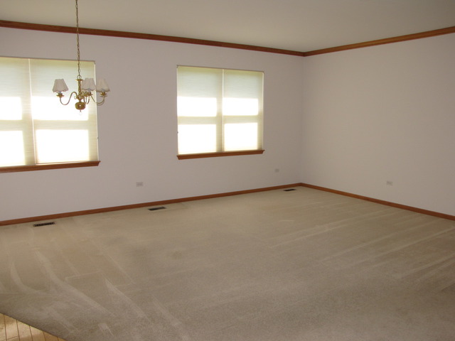 21313 W Juniper Ln, Plainfield, IL 60544 photo 11