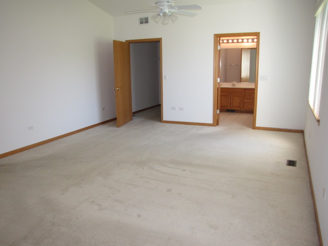 21313 W Juniper Ln, Plainfield, IL 60544 photo 15