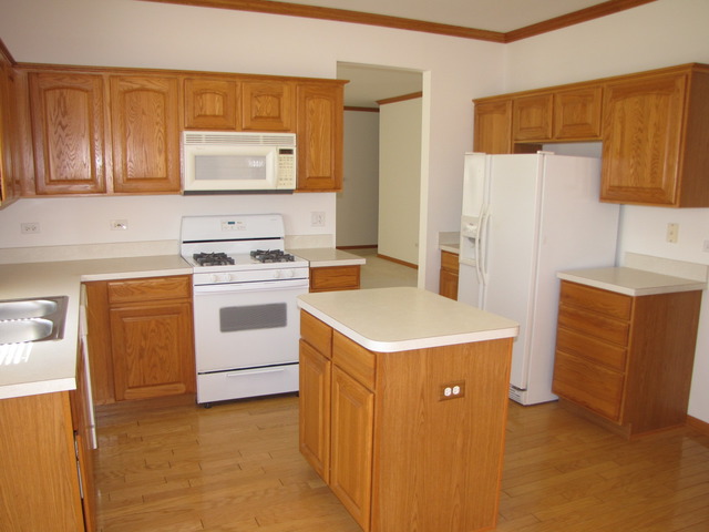 21313 W Juniper Ln, Plainfield, IL 60544 photo 9
