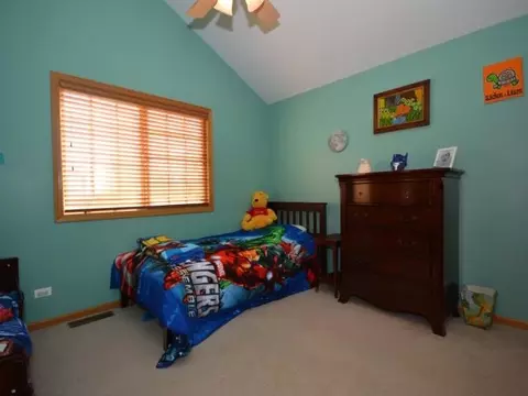 2115 Primrose Dr, Plainfield, IL 60586 photo 10