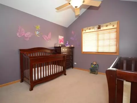 2115 Primrose Dr, Plainfield, IL 60586 photo 11