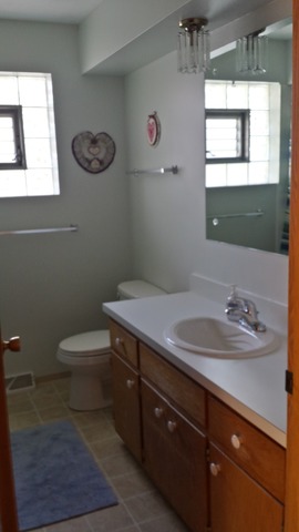 4612 Deyo Ave, Brookfield, IL 60513 photo 7