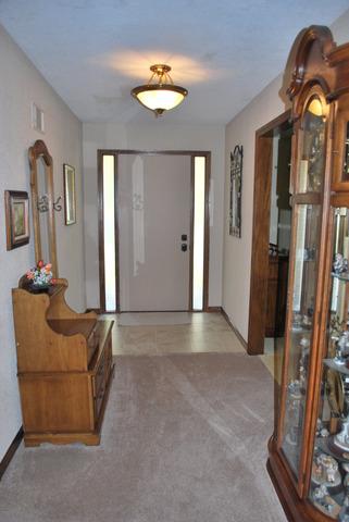 1515 E Hugh St, Diamond, IL 60416 photo 15