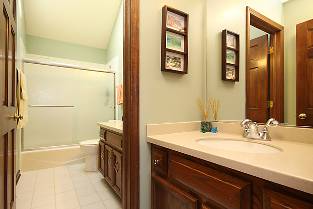 1603 Longfellow Ct, Wheaton, IL 60189 photo 18