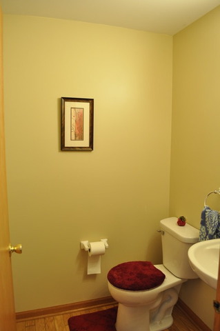 3927 Blackstone Dr, Aurora, IL 60504 photo 9