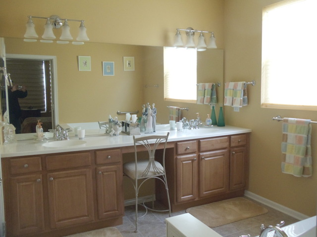 809 Rambling Brook Cir, Elgin, IL 60124 photo 15