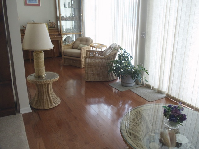 809 Rambling Brook Cir, Elgin, IL 60124 photo 9