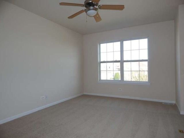 11923 Winterberry Ln, Plainfield, IL 60585 photo 15