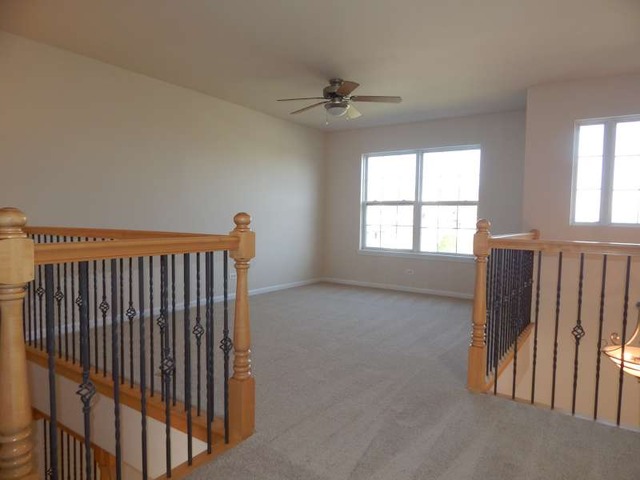 11923 Winterberry Ln, Plainfield, IL 60585 photo 14