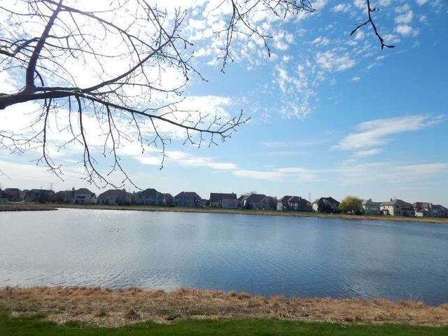11923 Winterberry Ln, Plainfield, IL 60585 photo 21