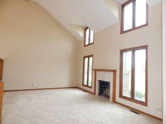 24159 Brancaster Dr, Naperville, IL 60564 photo 3