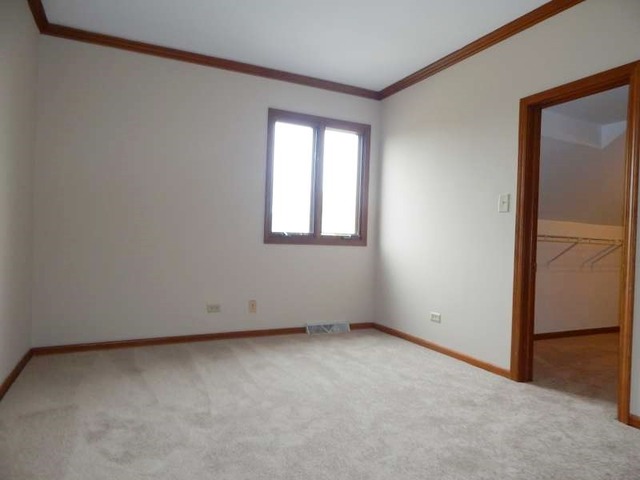 24159 Brancaster Dr, Naperville, IL 60564 photo 13