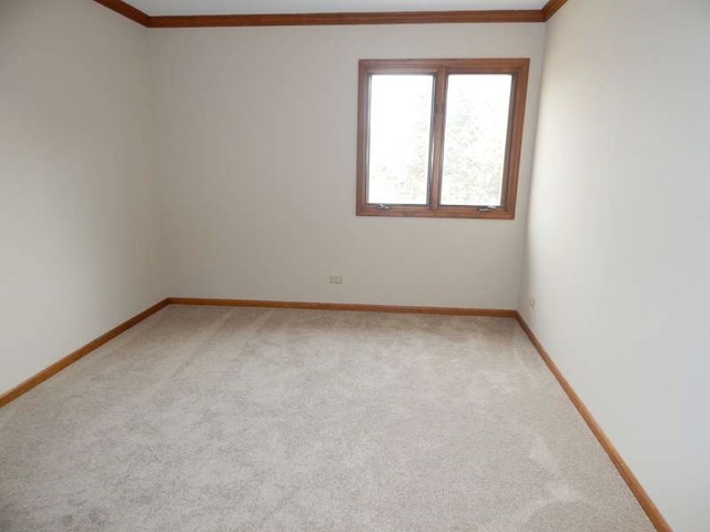 24159 Brancaster Dr, Naperville, IL 60564 photo 12