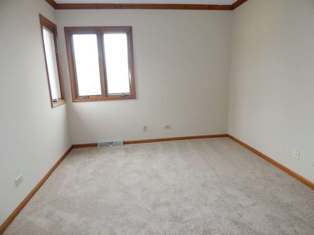 24159 Brancaster Dr, Naperville, IL 60564 photo 11
